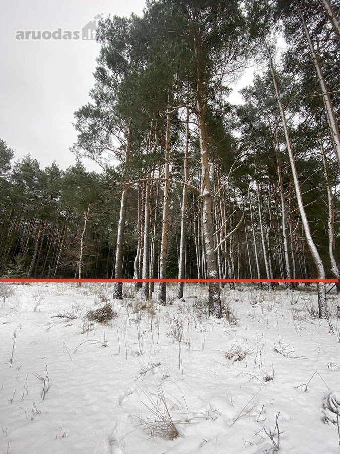 Sklypas Vilniaus r Kalvelių k Žaliašilio g sklypas Nekilnojamo