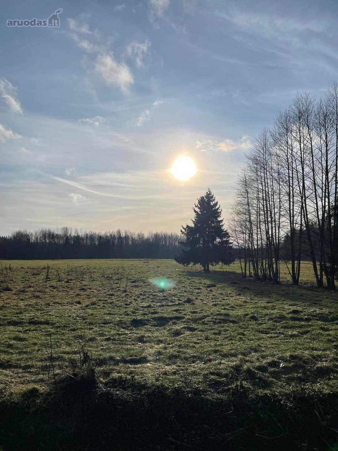 Parduodamas 2,66ha žemės ūkio paskirties