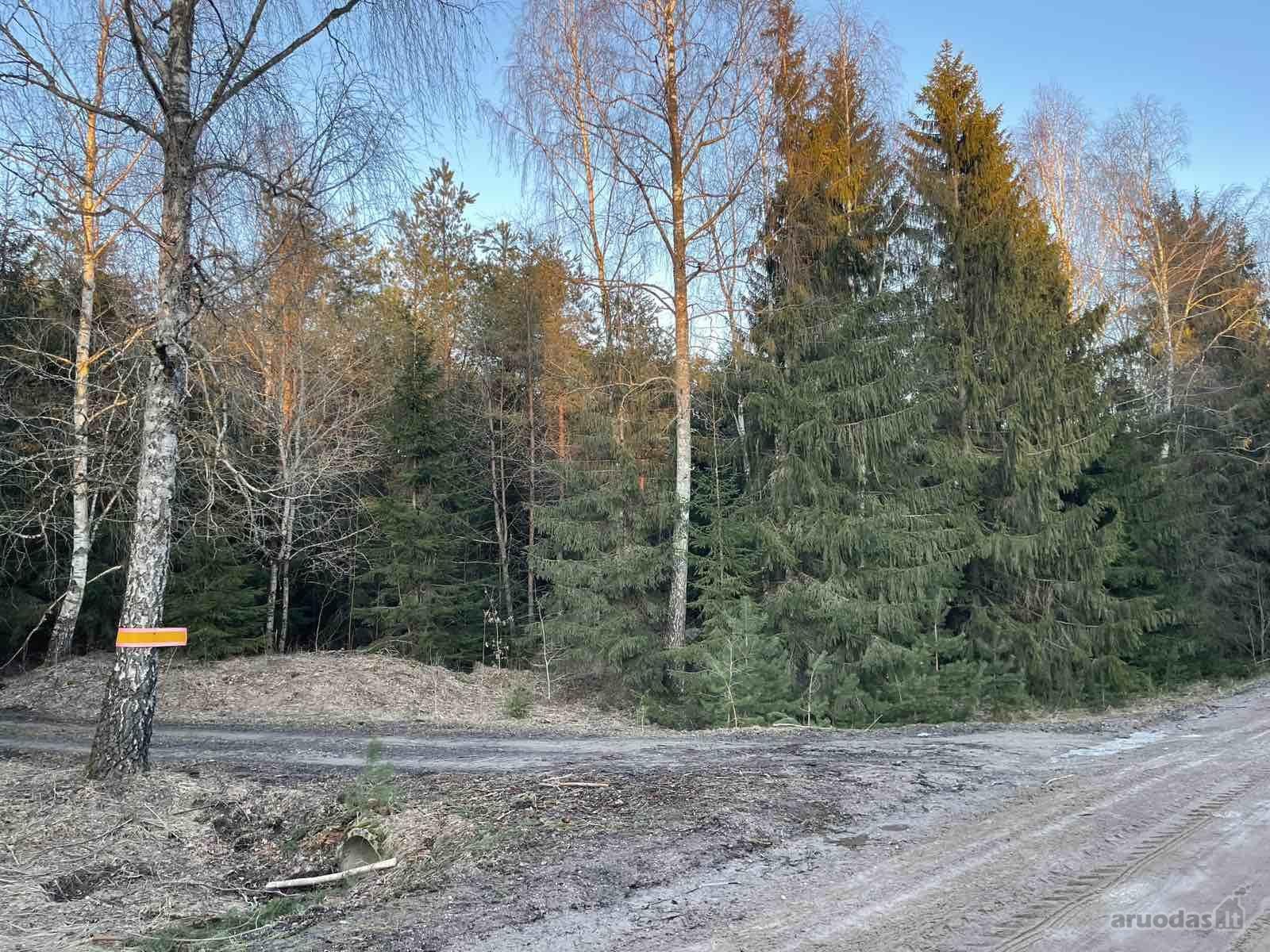 Parduodamas miškas, Kelmės raj., Šaukėnų sen.