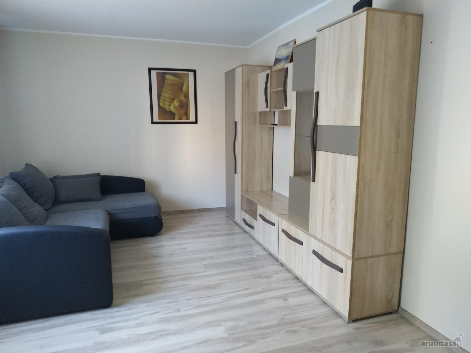 Išnuomojamas dviejų kambarių butas nuo