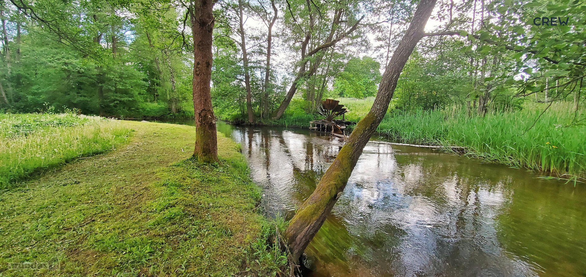 ~13ha sklypas šalia Labanoro, ant Kiaunos