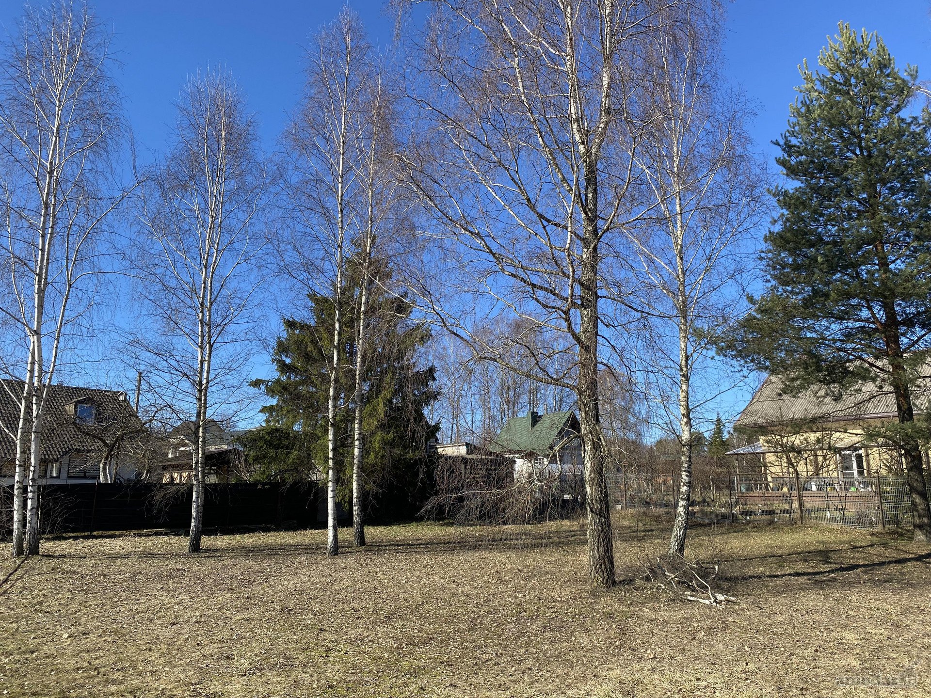Parduodamas unikalus, taisyklingos formos,