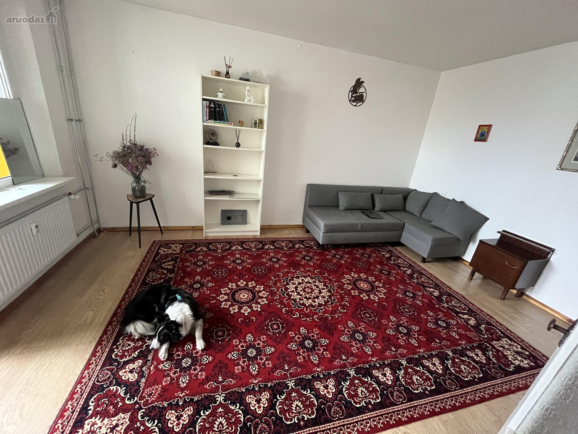 Nuomojame dviejų kambarių butą ką tik pilnai