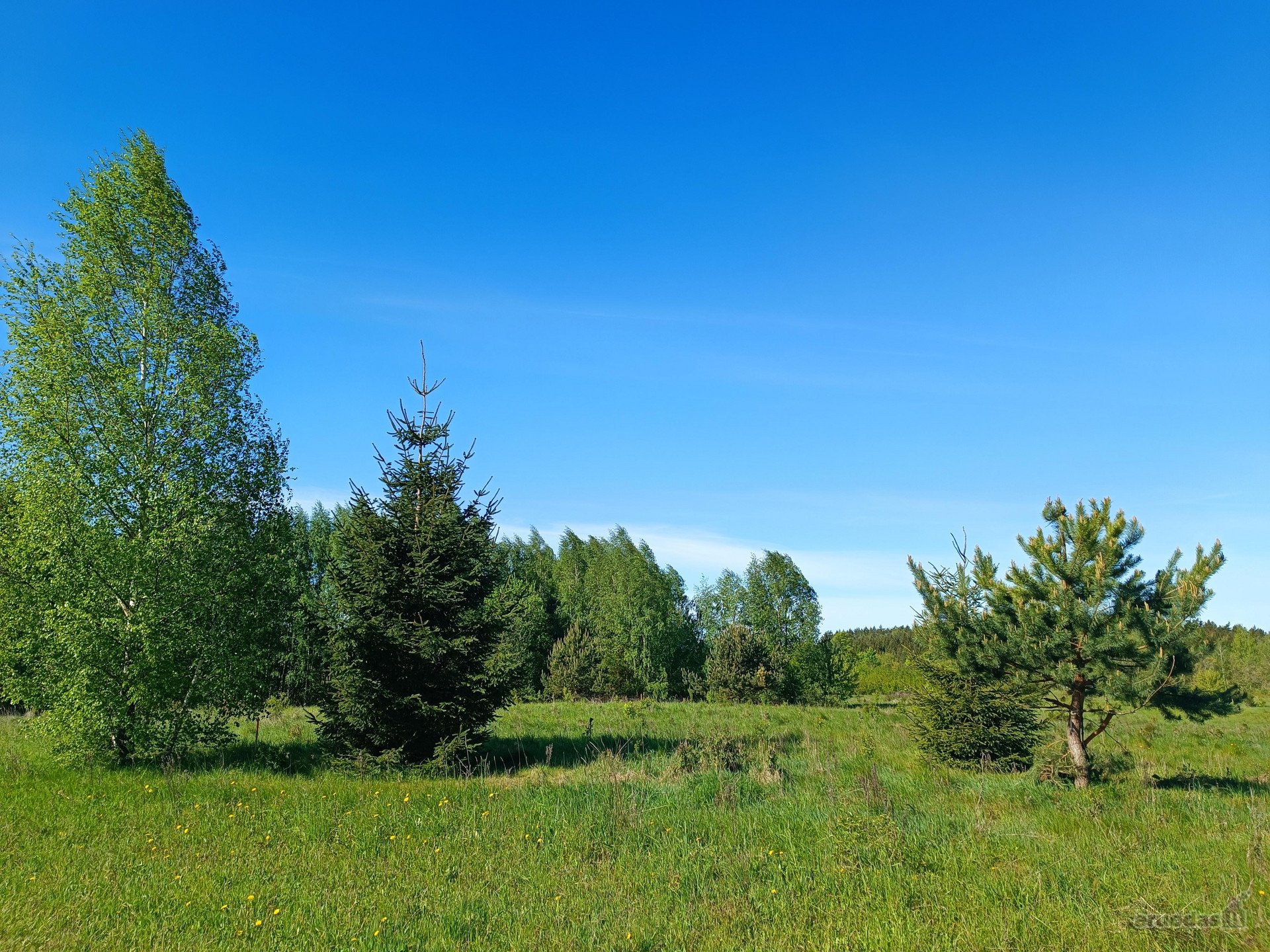 30 arų namų valdos sklypas, bendras 2,51 ha ploto