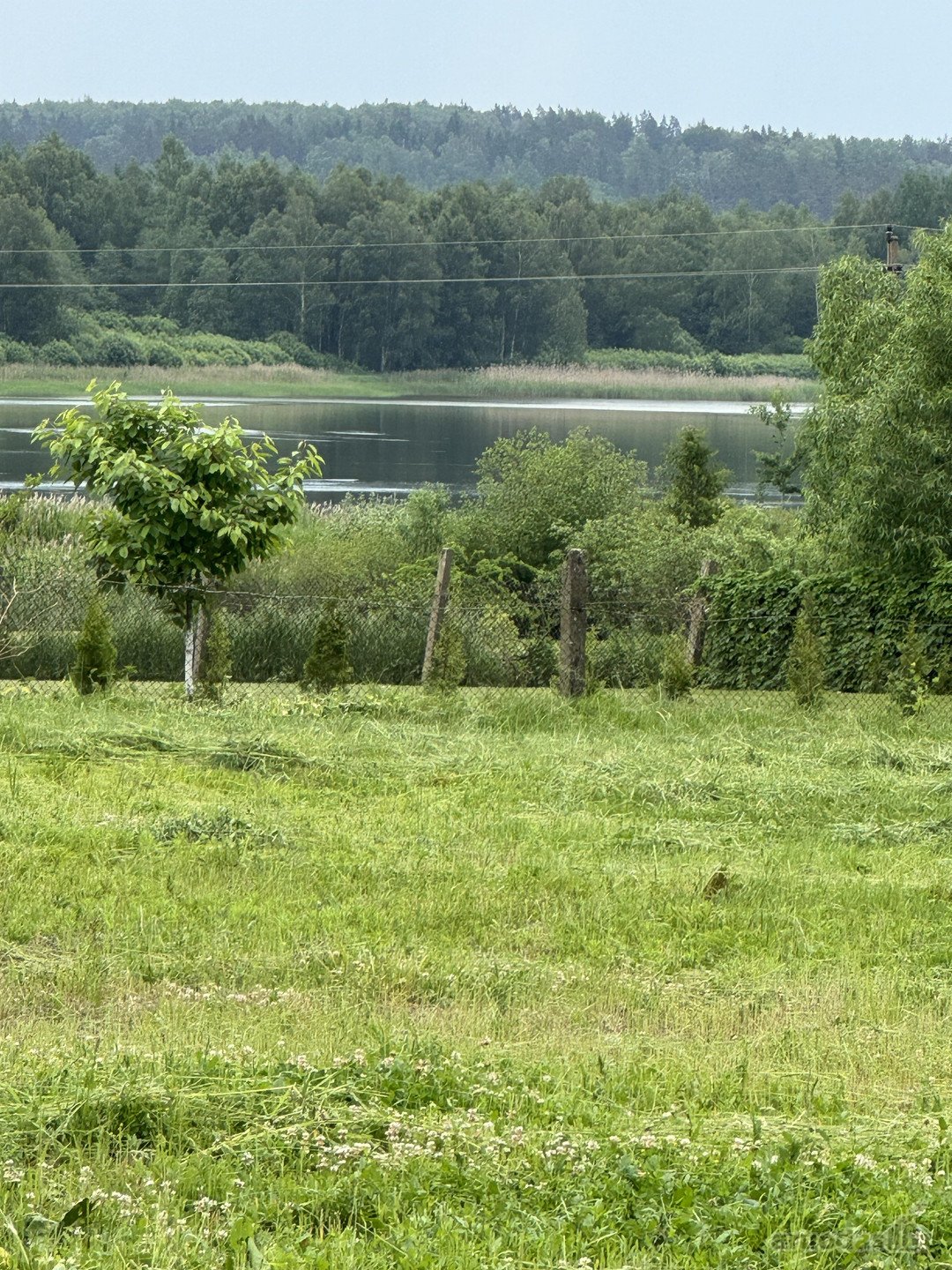 Parduodami Kurtuvėnų centre esantys sklypai.