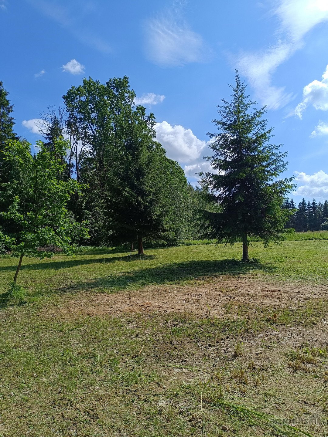 Parduodamas išskirtinis erdvus namų valdos