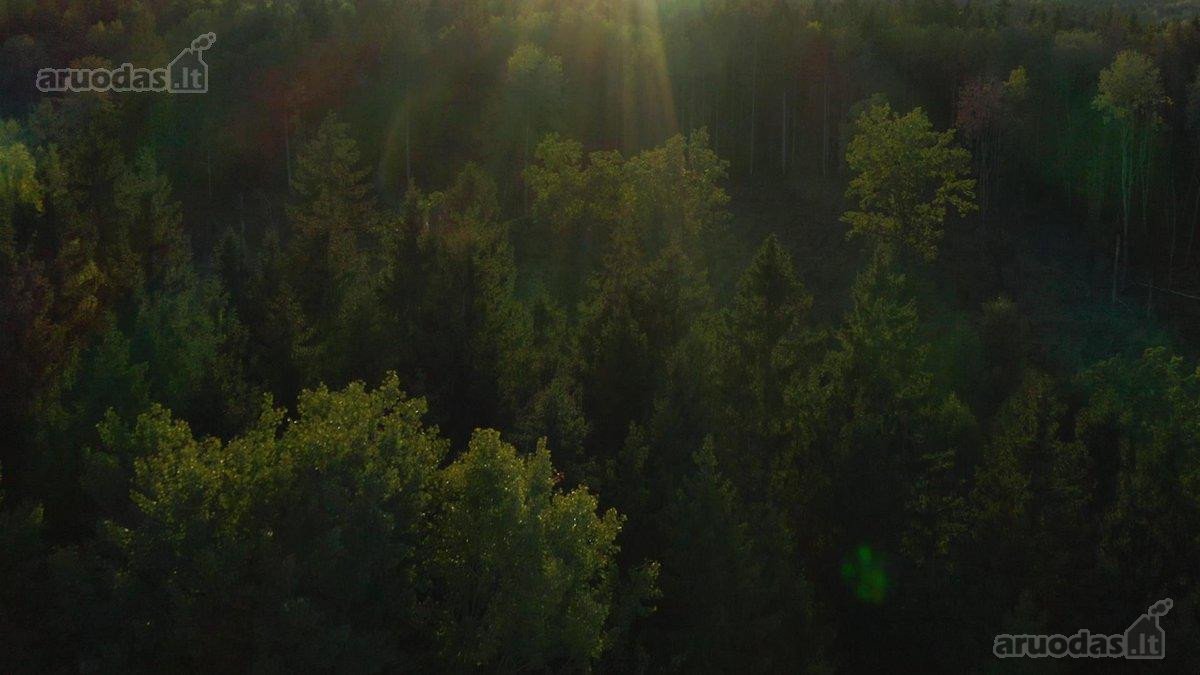 ~1.4km iki Vilniaus miesto ribos,~2km iki