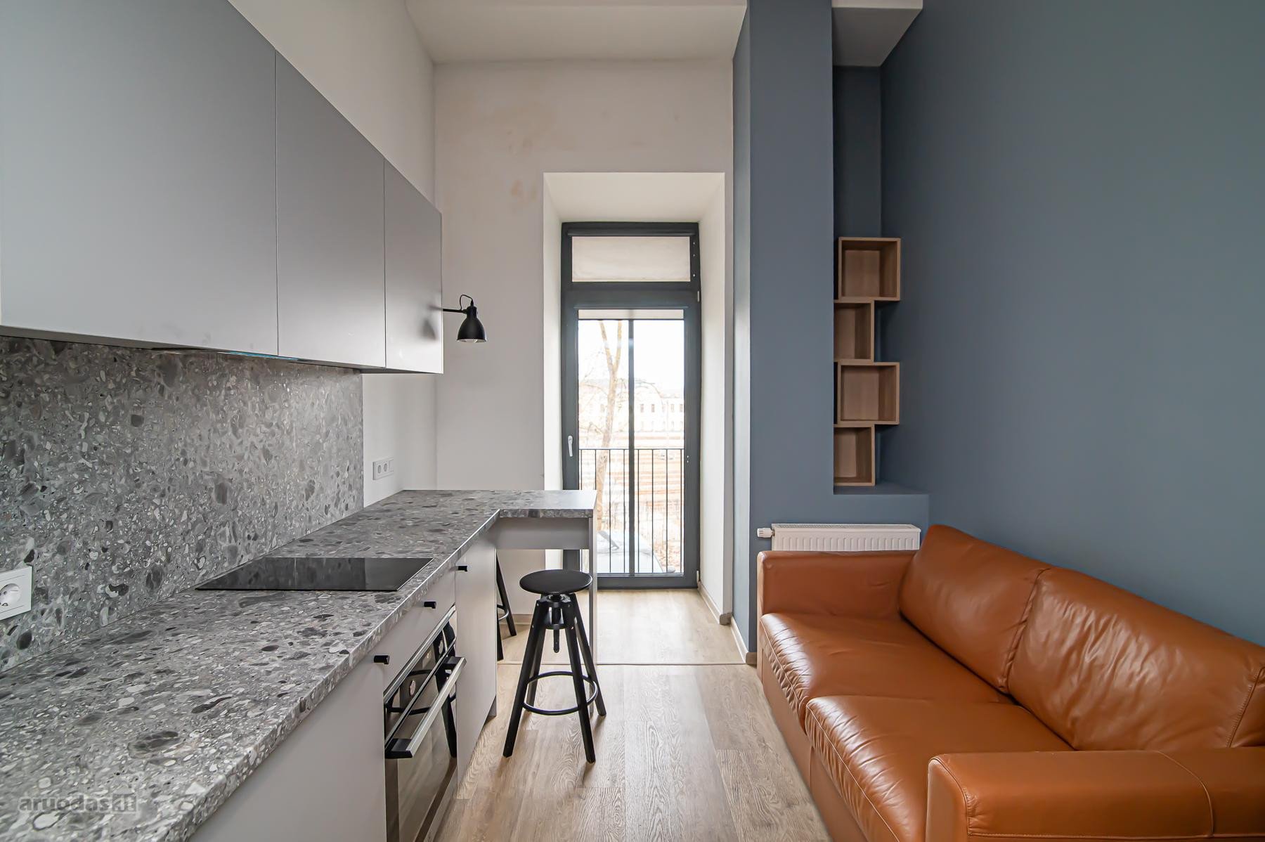 Itin Ekonomiškas Loftas Renovuotame Name Su