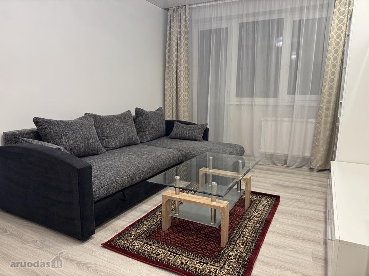 Nuo rugsėjo pradžios išnuomojamas moderniai