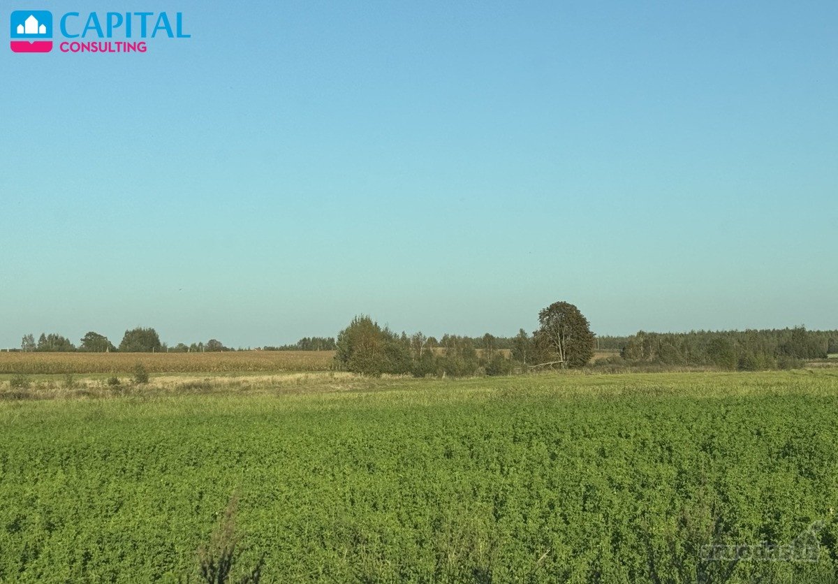Parduodamas 4.40 ha žemės sklypas Vilniaus