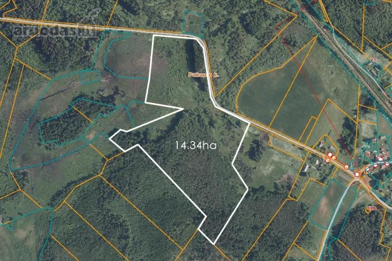 Parduodamas erdvus 14,34 ha žemės ir miškų