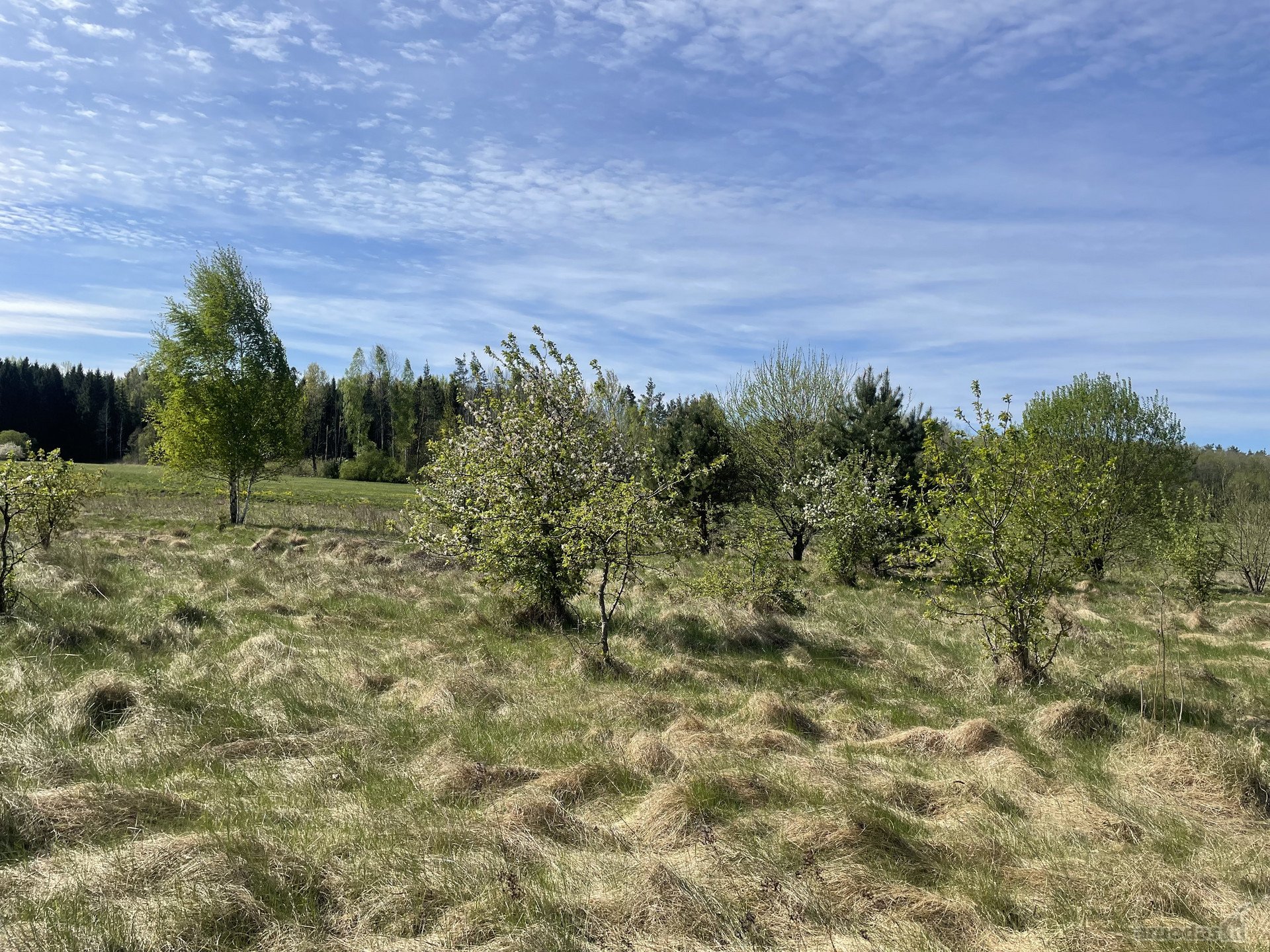 Parduodamas 1,34 hektaro žemės ūkio
