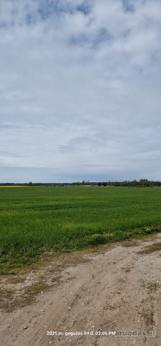 Parduodamas žemės ūkio paskirties sklypas, 0