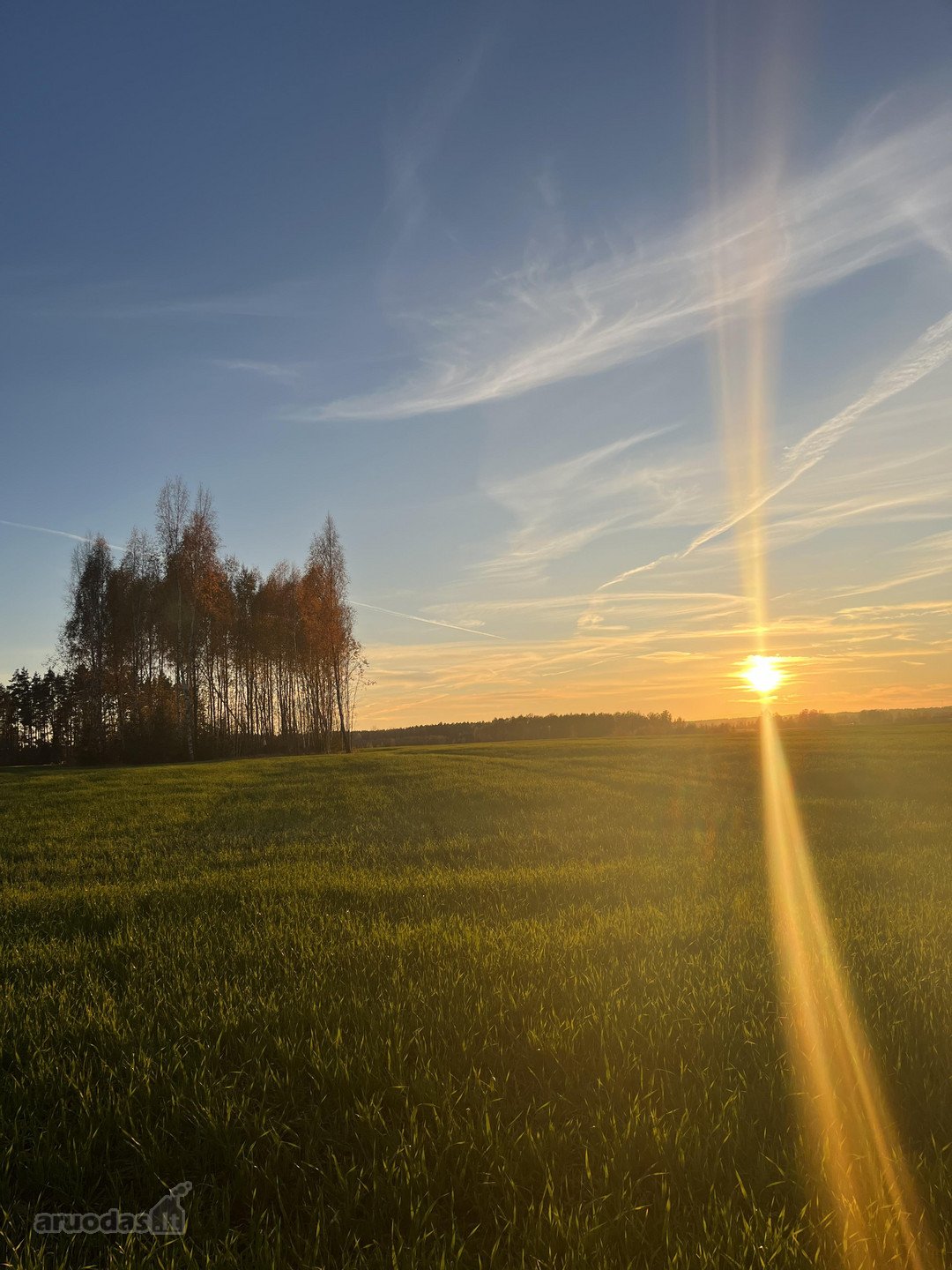 Parduodamas 10.80 ha žemės sklypai Bartkuškio