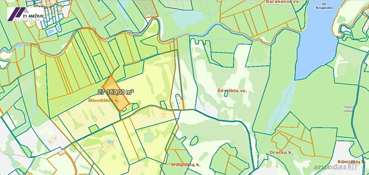 Rokiškio r. sav., Obelių sen., Šliuotiškio k.