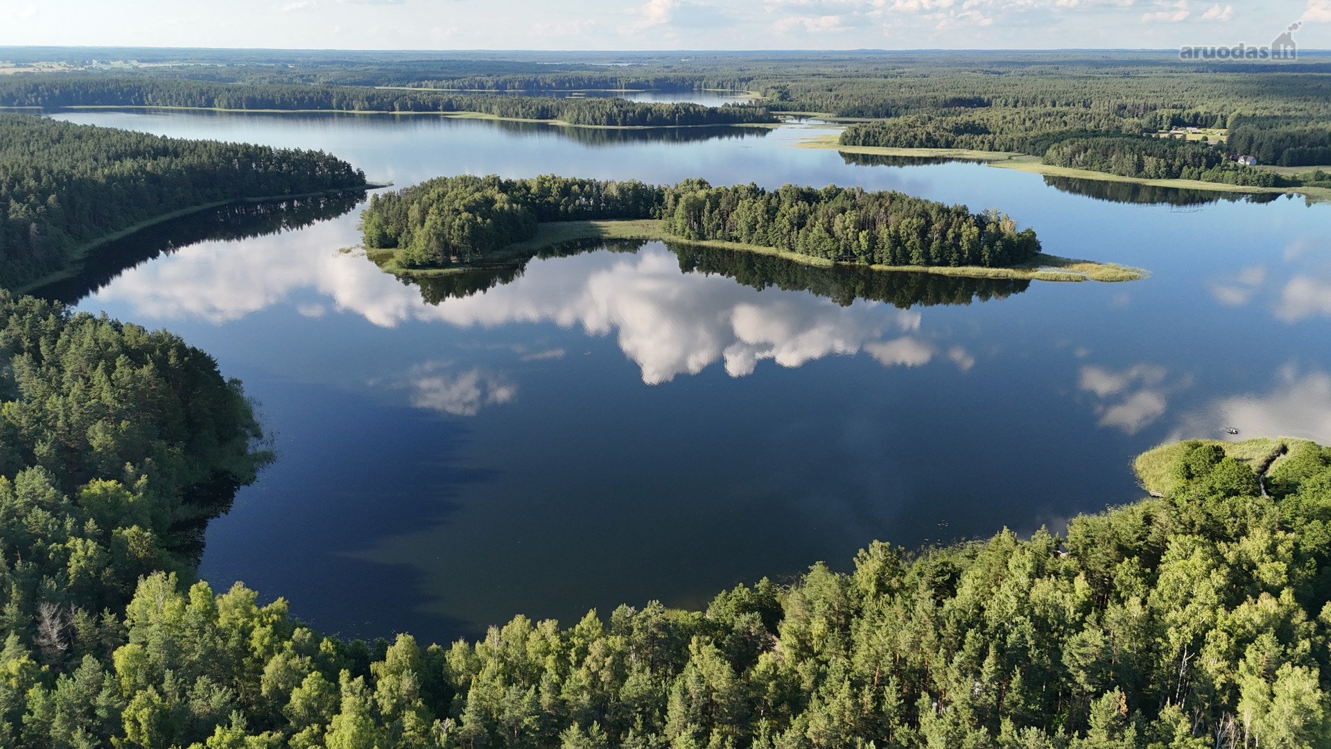 Unikali Oazė Gamtos Apsuptyje Labanoro