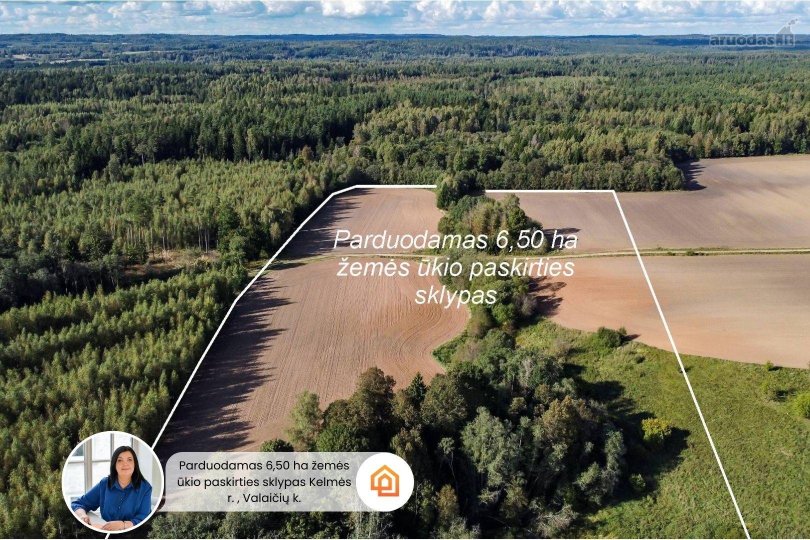 Parduodamas 6,50 ha žemės ūkio paskirties