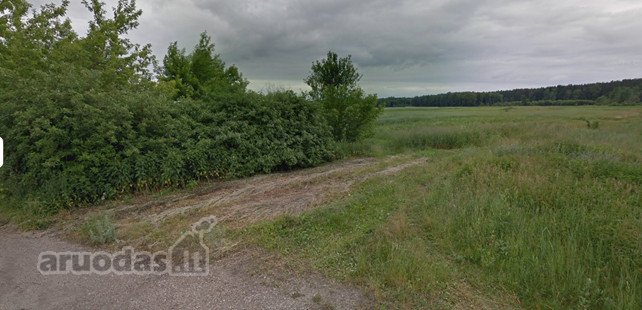 Parduodamas namų valdos sklypas – ramybės