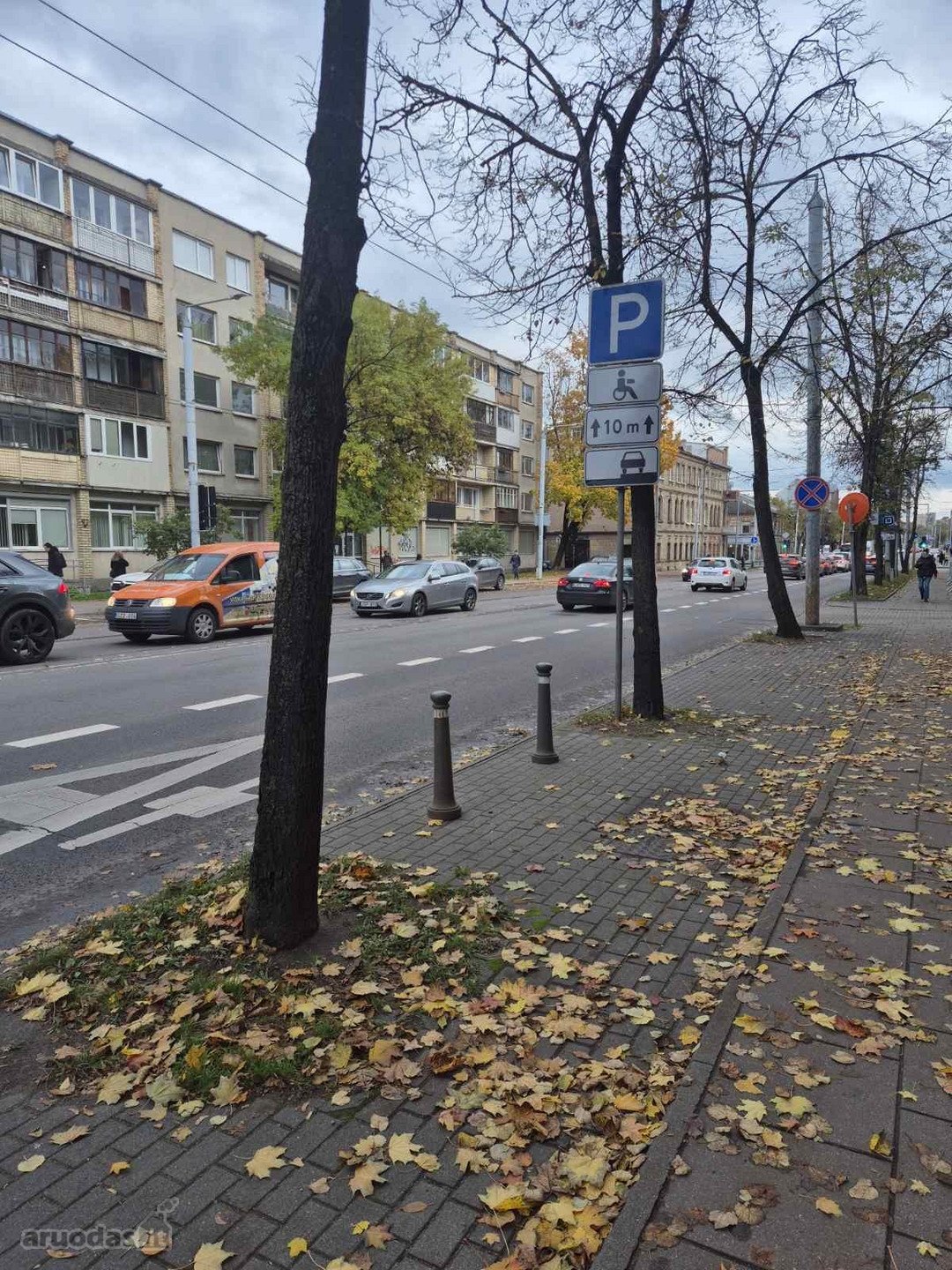 ? Nuomojama patalpa Švitrigailos g. 7, Vilnius