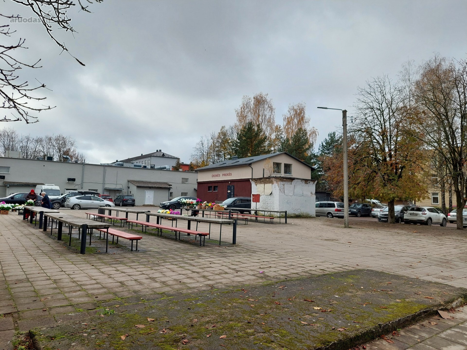 Vilniaus miesto savivaldybė nuomoja 11,08 kv.