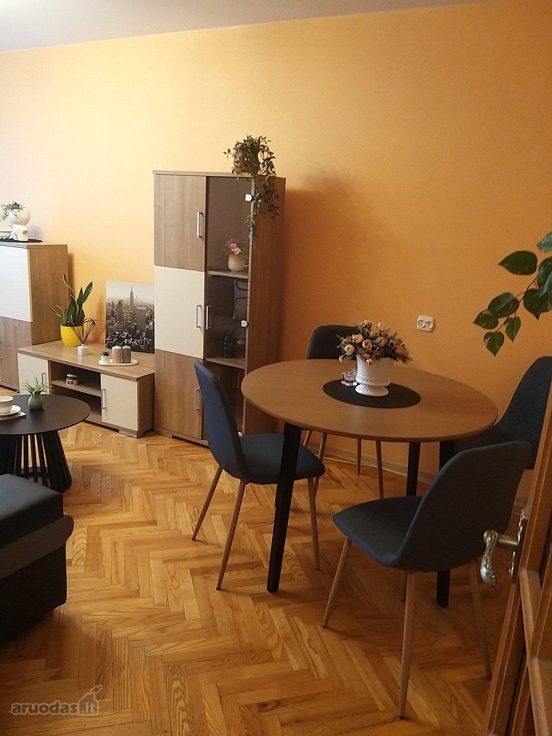 Išnuomojamas 2 kambarių butas Jaunystės g. 