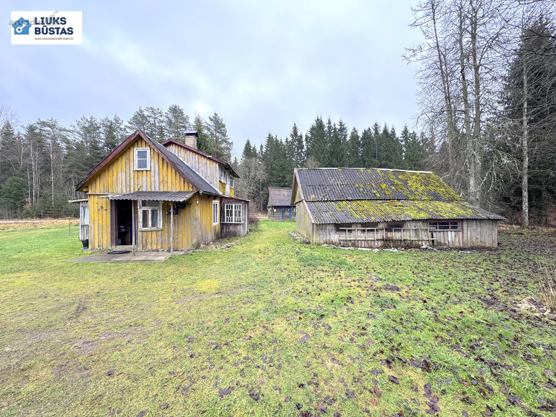 Parduodama sodyba su 10.5 ha sklypu, gražiame