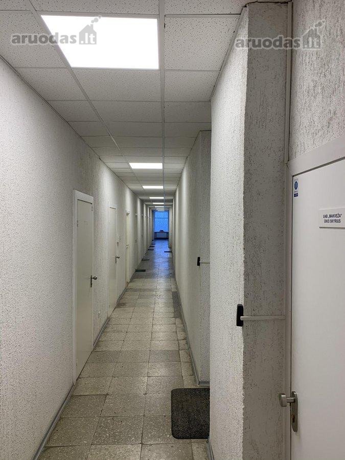 Išnuomojamos jaukios ir šviesios