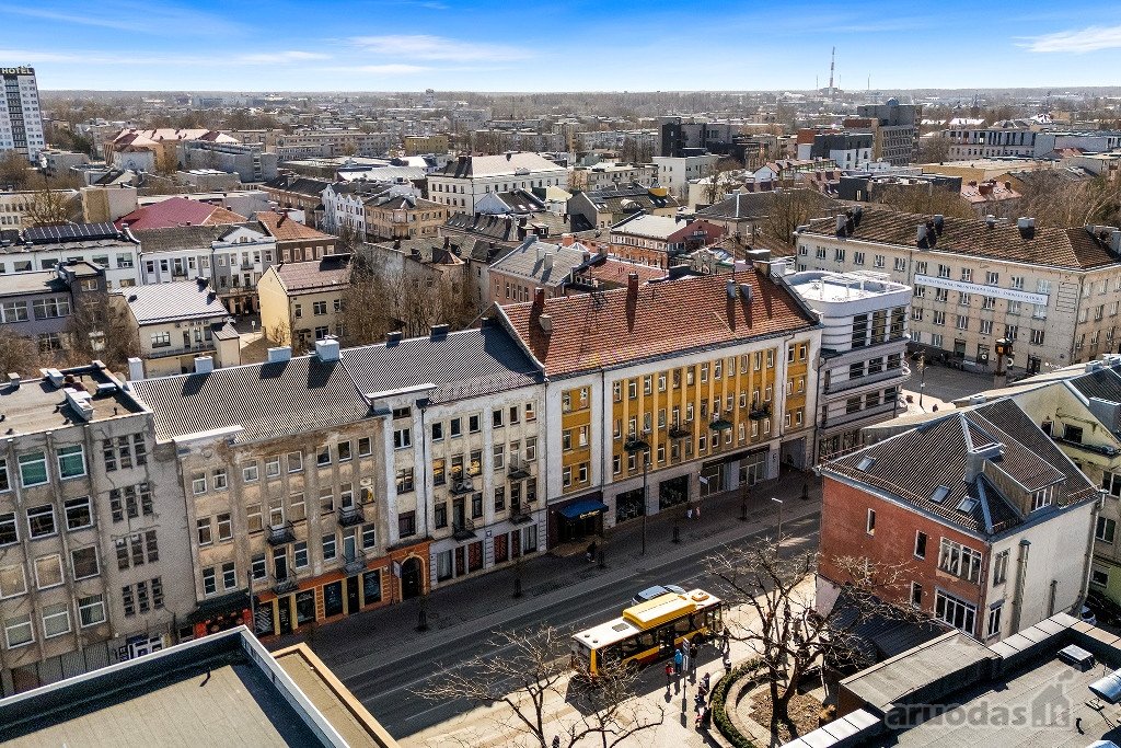Priešais Šiaulių dramos teatrą, puikioje