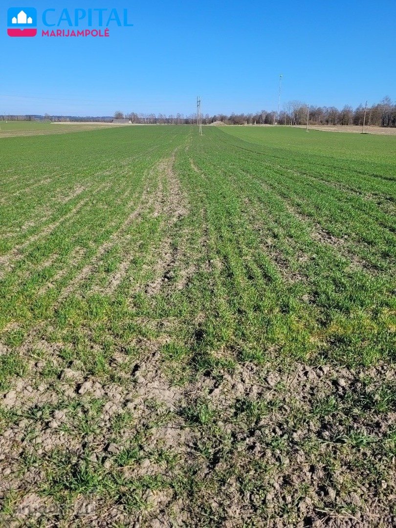 Šeštokų miestelio pakraštyje Šeštokų k.