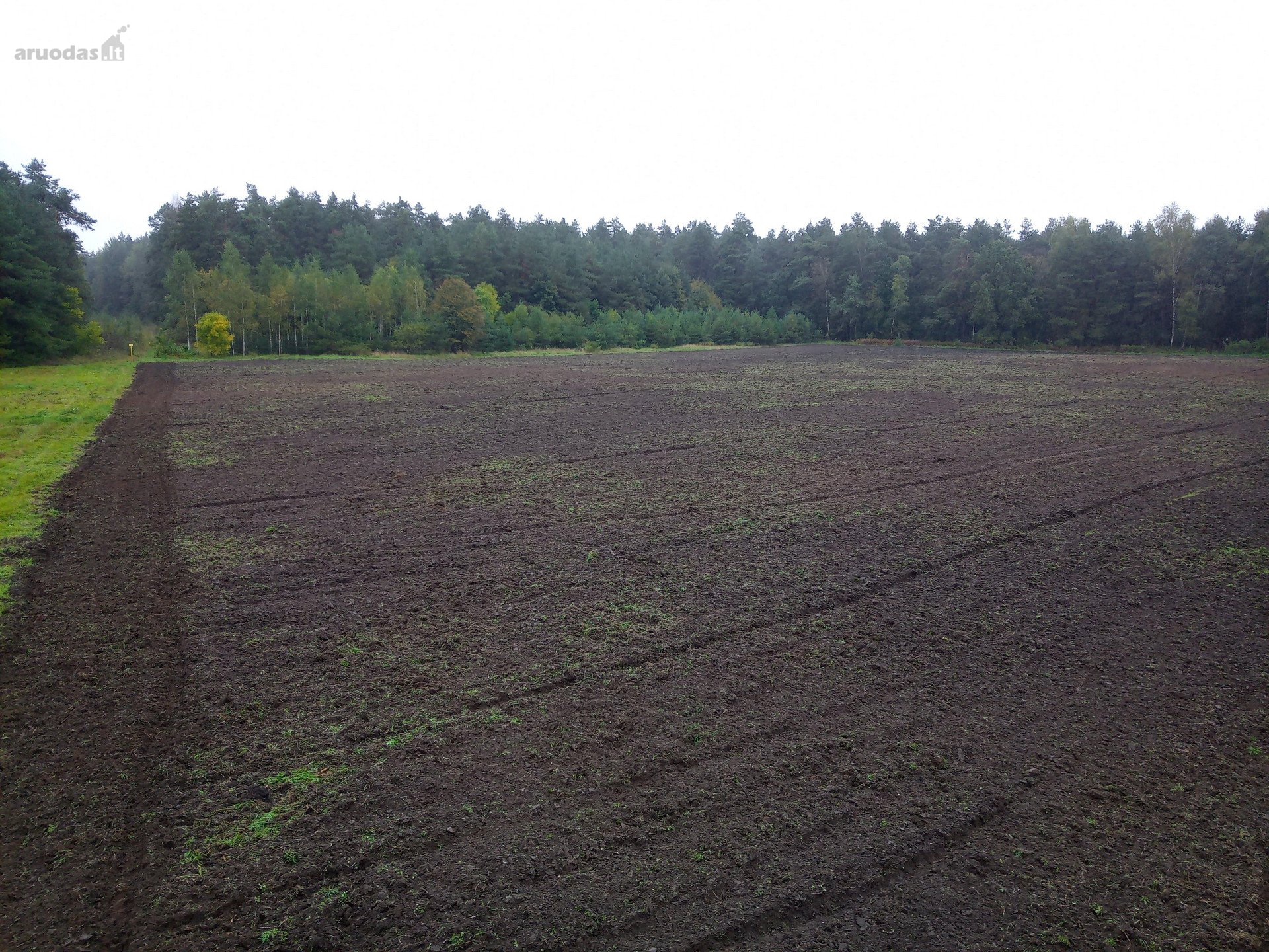 Sklypo unikalus nr. 4400-2049-0346