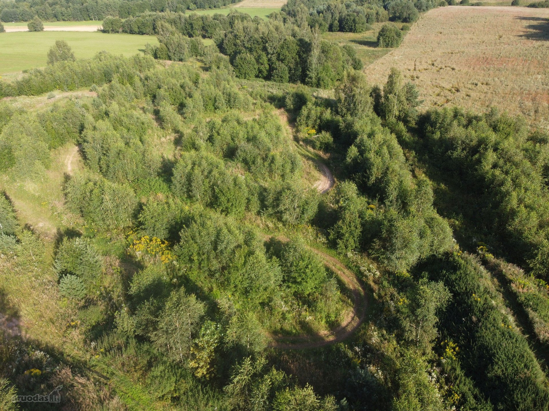 Vilniaus raj. Lukšinės k. parduodama 3.2 ha