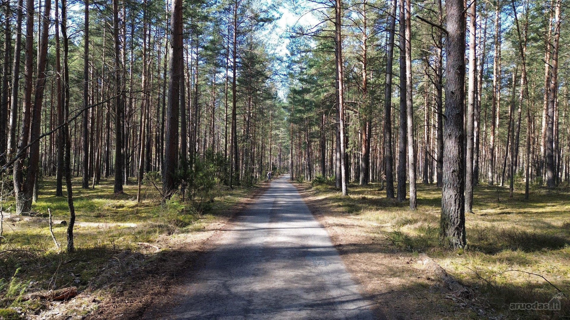 Išskirtinė vieta Vilniaus mieste: tylos ir