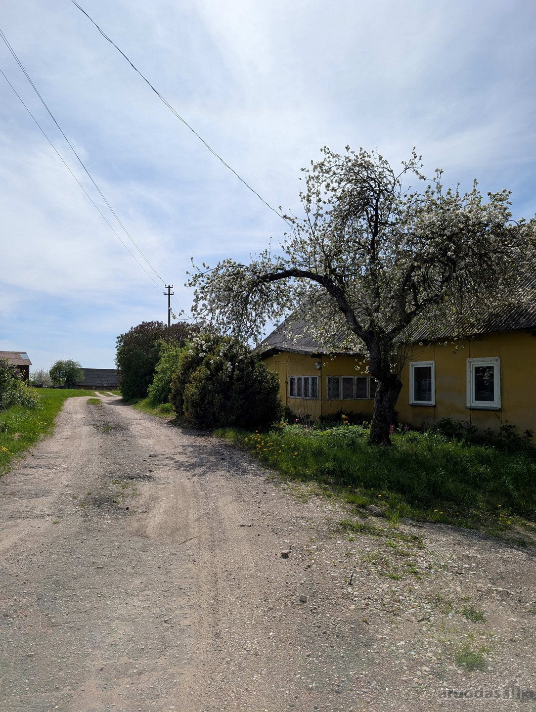 Lazdijų r. savivaldybėje, Kučiūnų sen.,