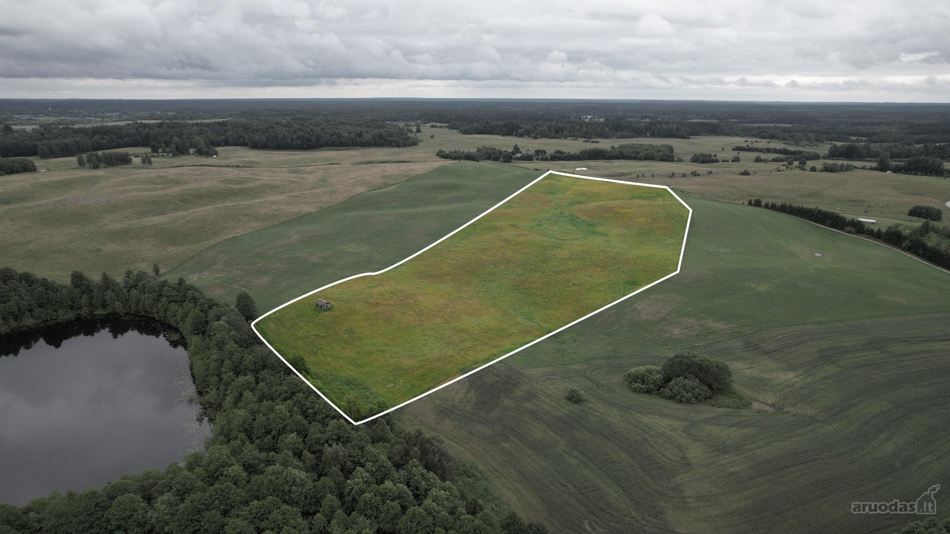 Investicinis Projektas Molėtų Rajone: 5 Ha
