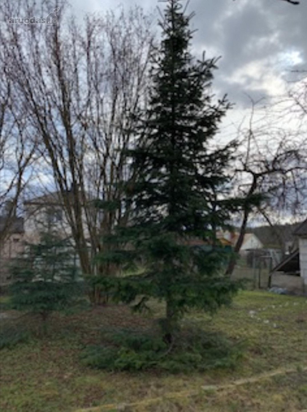 Nuomoju Vilniaus mieste, Naujamiestyje,