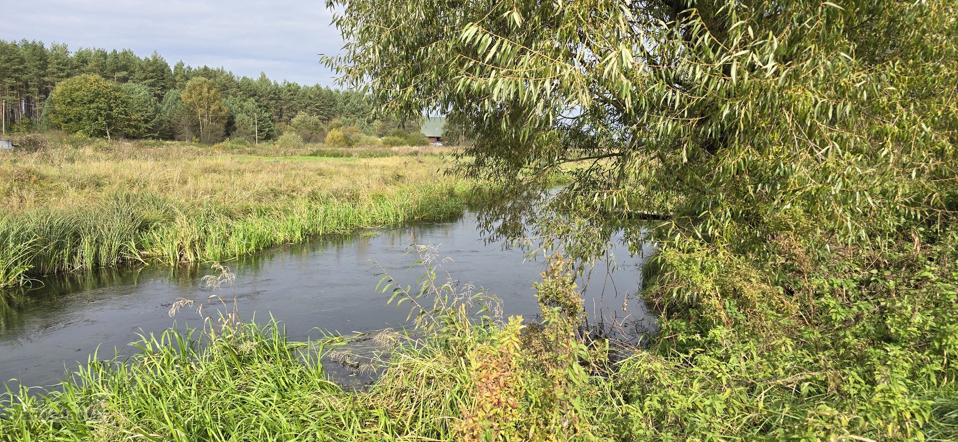 Parduodamas Erdvus Namų Valdos Sklypas Gamtos