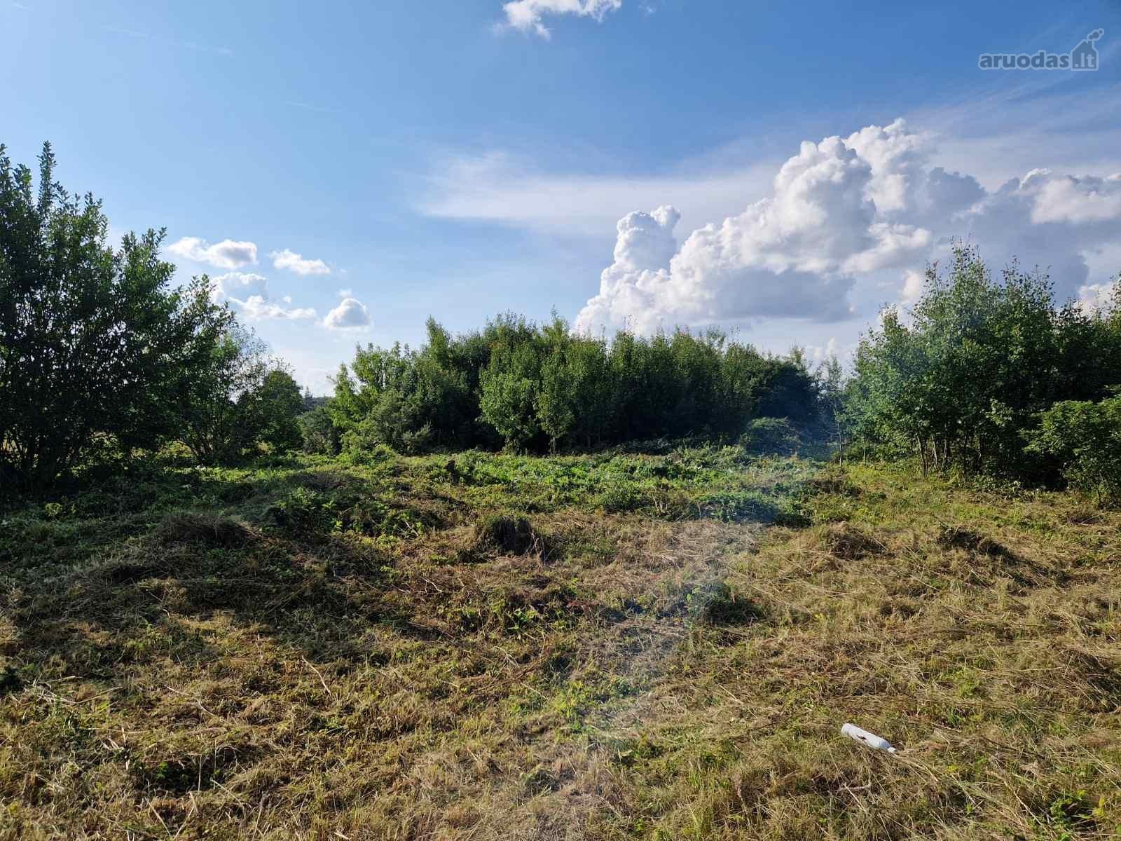 Parduodamas taisyklingos formos 69,62 arų