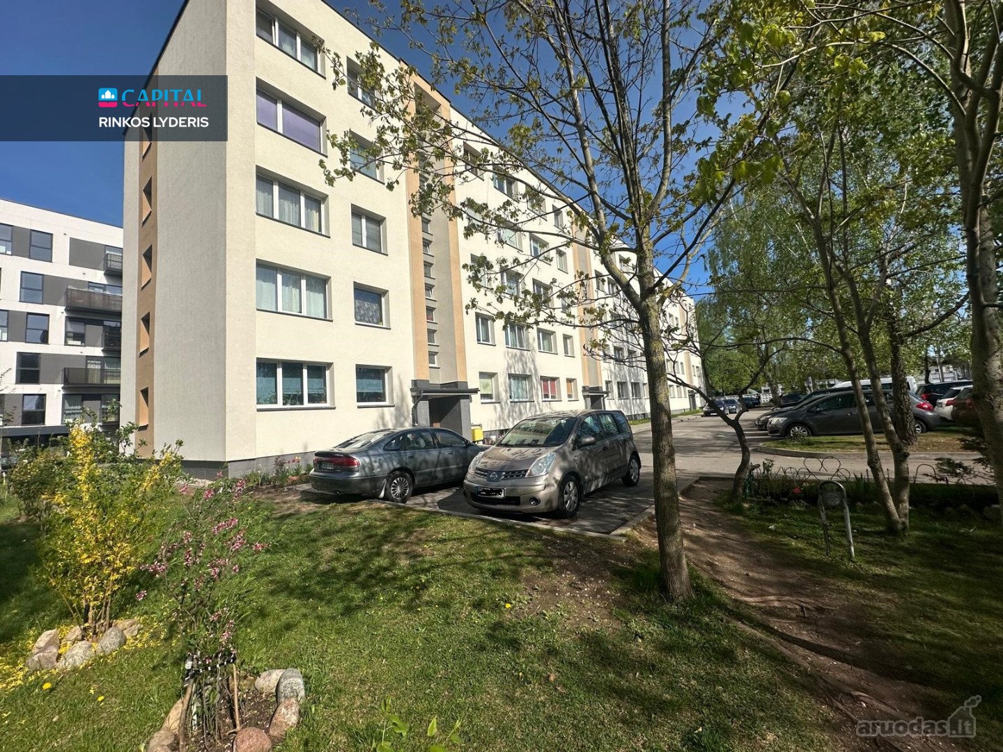 Ramioje, žaluma apsuptoje ir vienoje