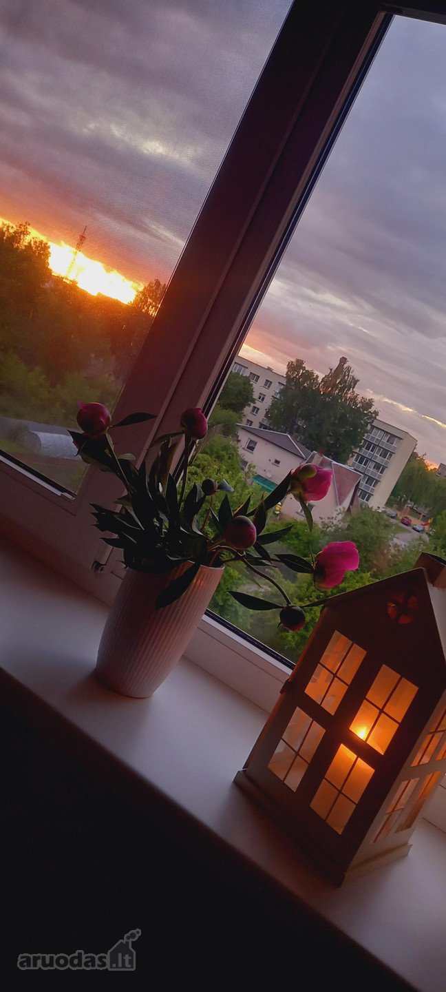 Parduodamas 2 kambarių butas su rūsiu.