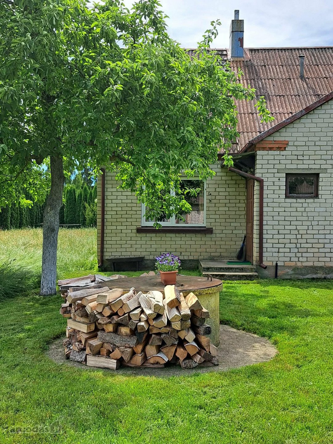 Akmenės r. sav., Agluonų k.