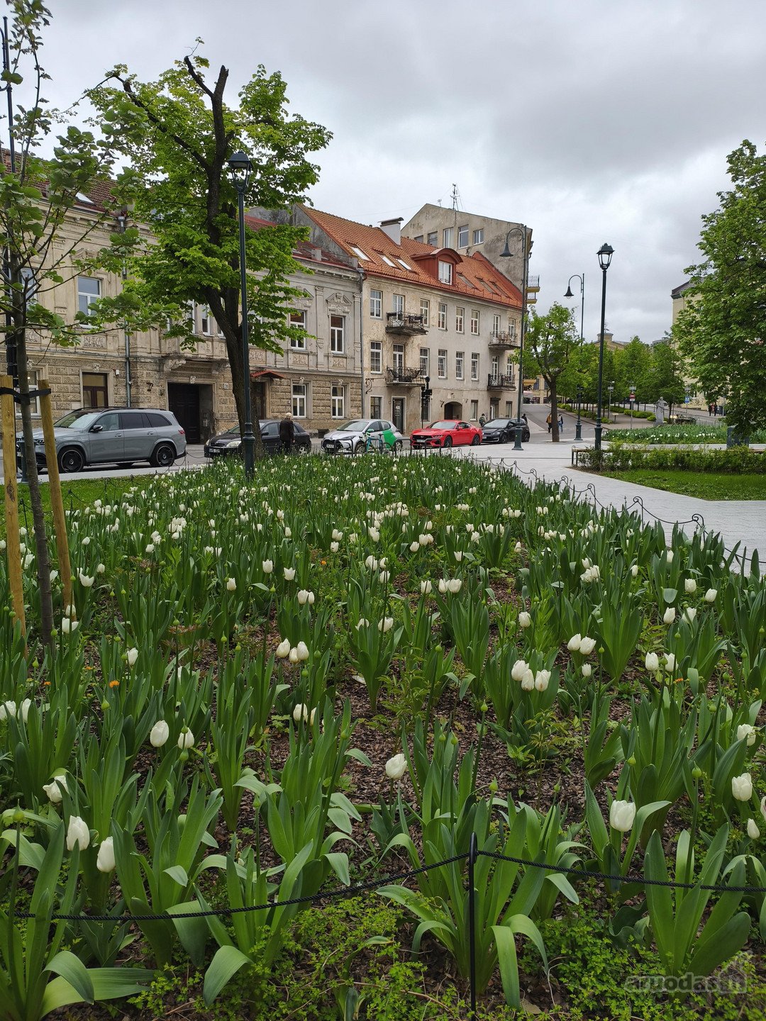 Tai Jūsų išskirtinė galimybė įsigyti tikro