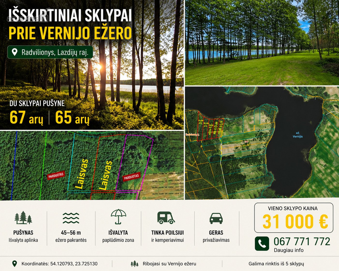 Du sklypai pušyne: 67 arų ir 65 arų, keli