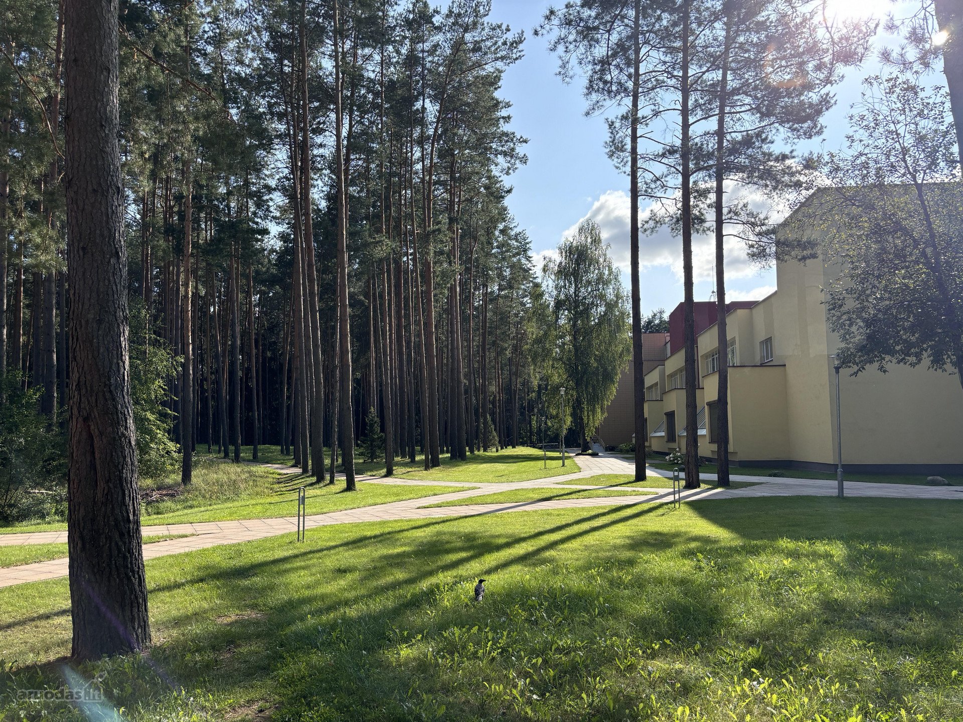 Parduodame dideles patalpas 1 aukste