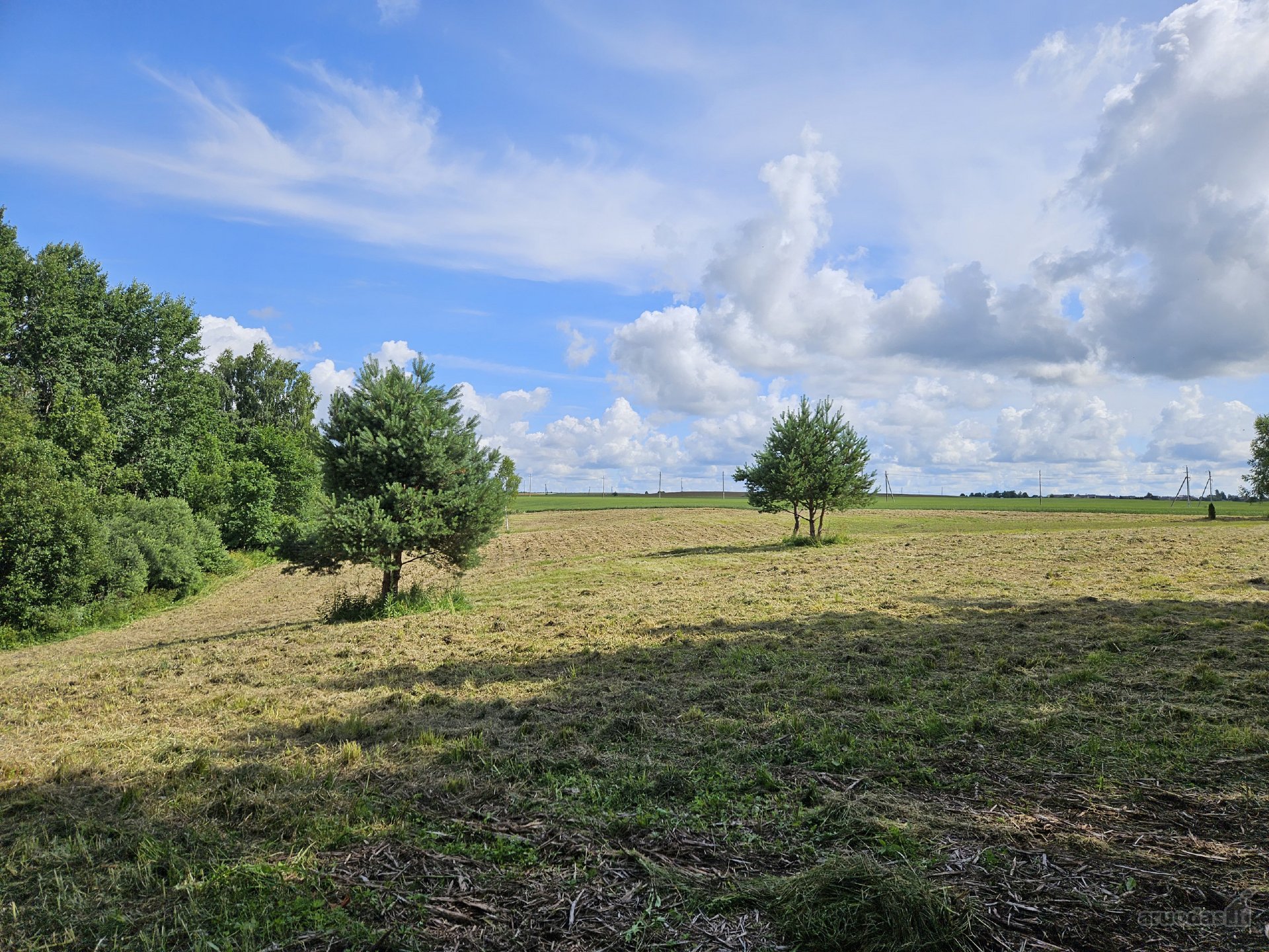 Parduodama sodybvietė 1,327 ha. Sklypas