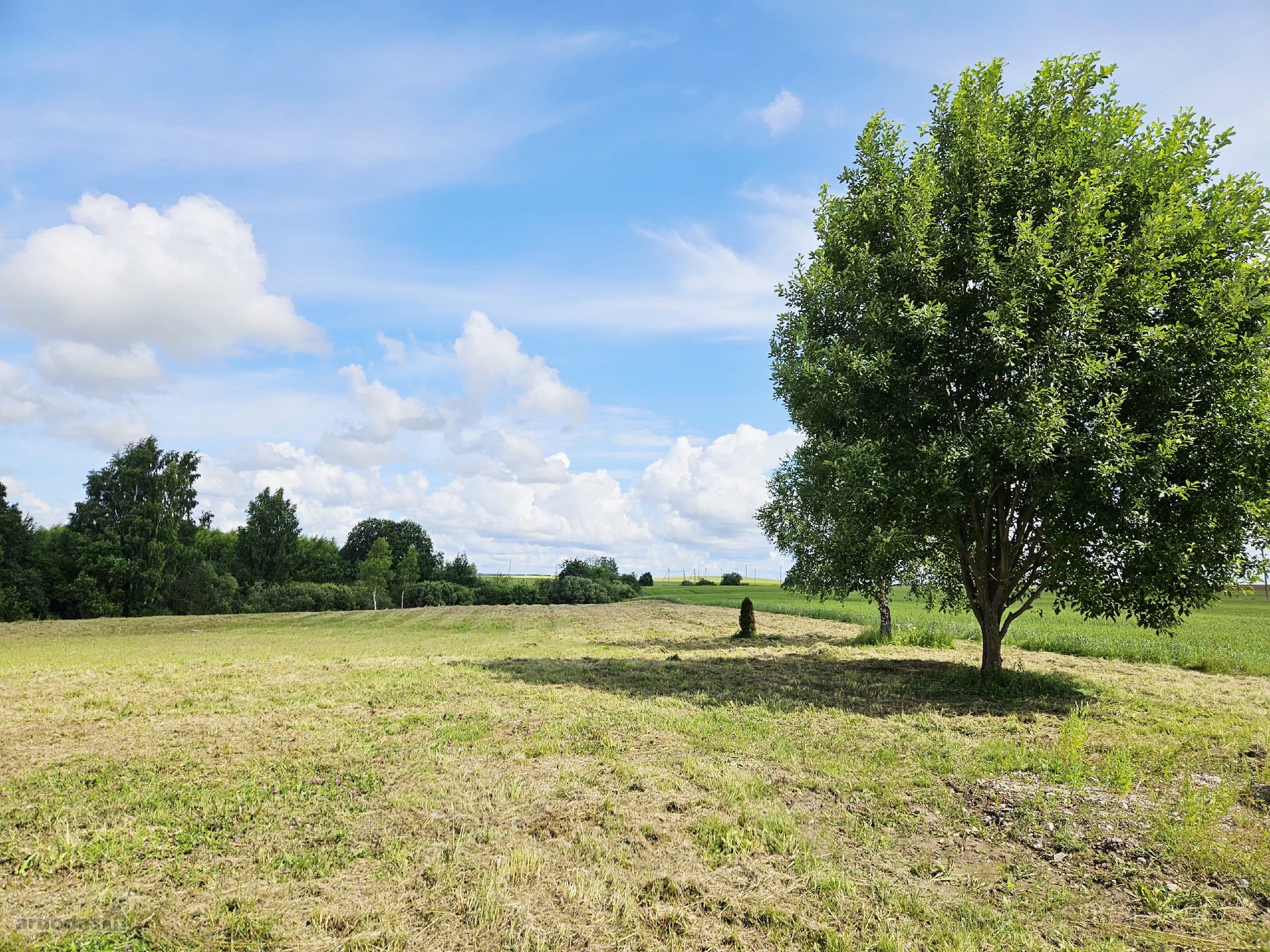 Parduodama sodybvietė 1,327 ha. Sklypas