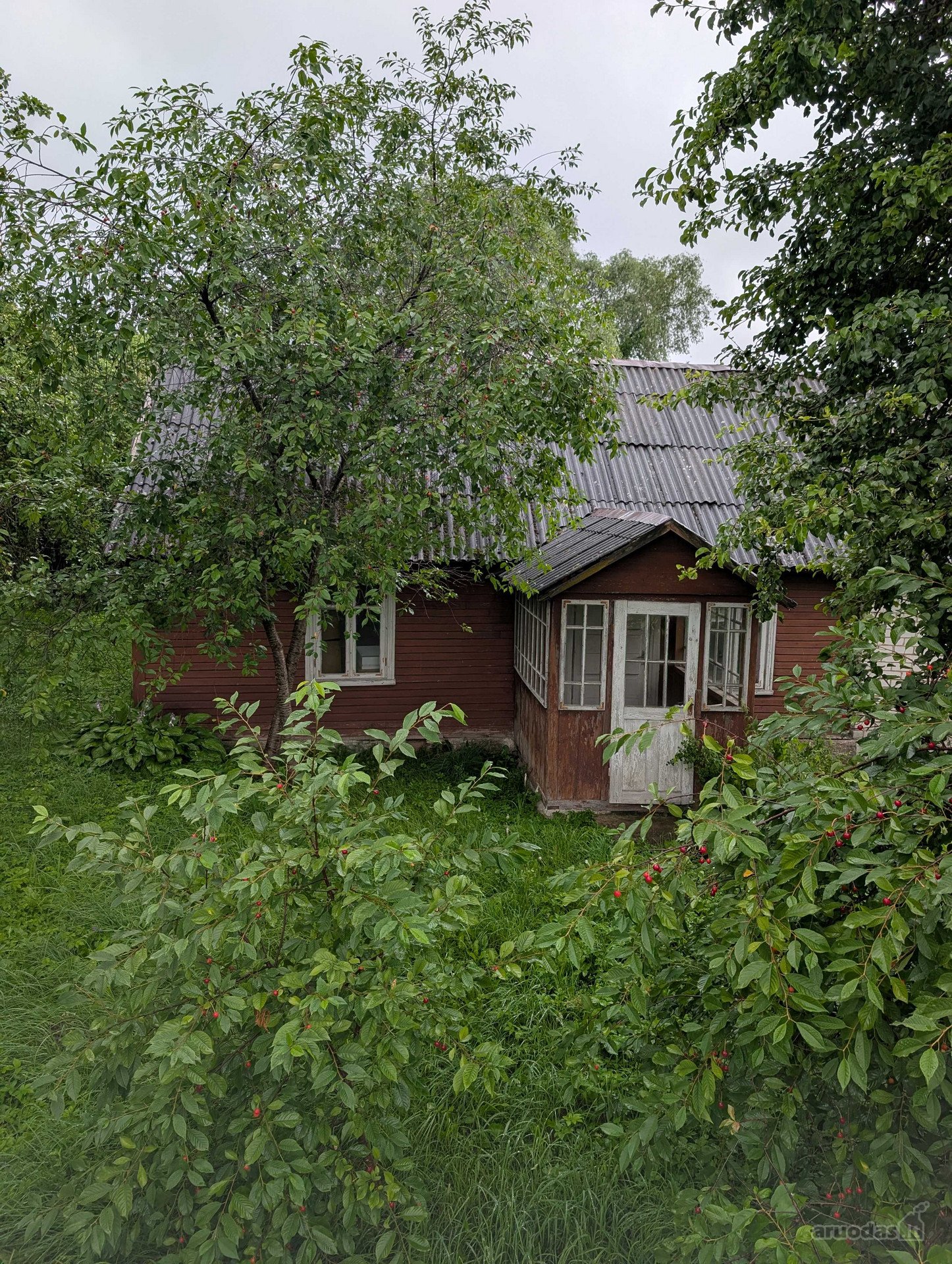 Lazdijų mieste, Kalnų g.15 parduodamas 32 arų