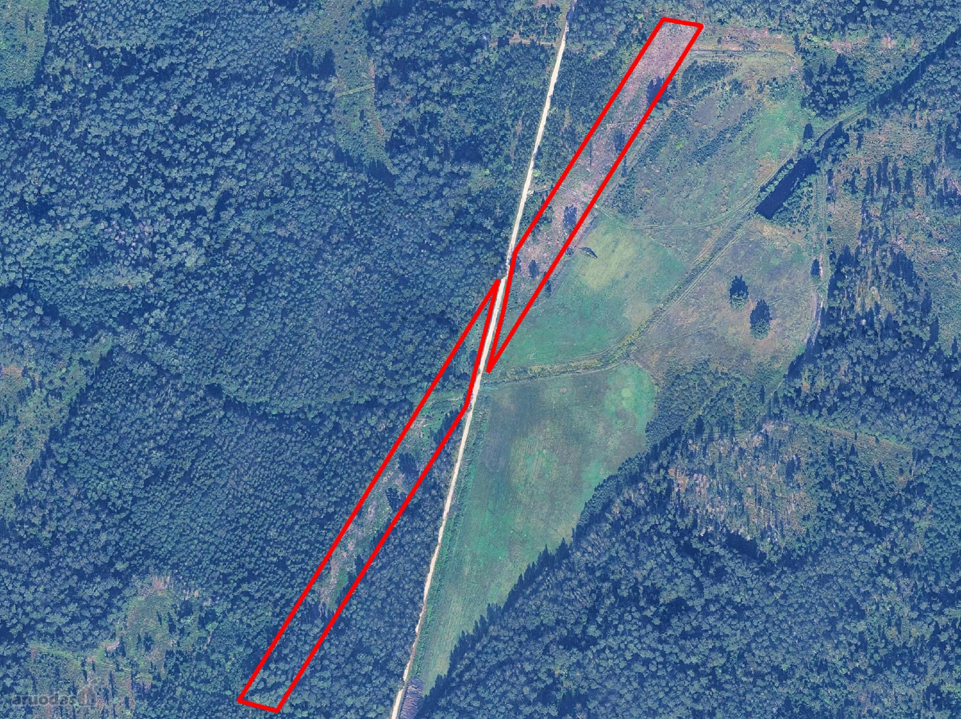 Parduodame 2023m iškirstus miškus. Augo