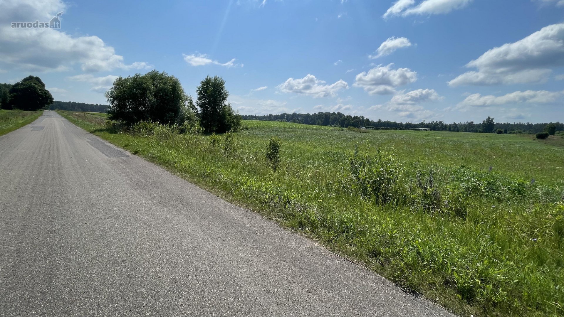 Širvintų r. sav., Plikiškių k., Žaliosios g.