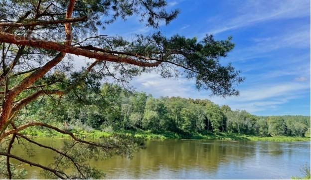 Parduodu 19,0 aro namų valdos sklypo dalį