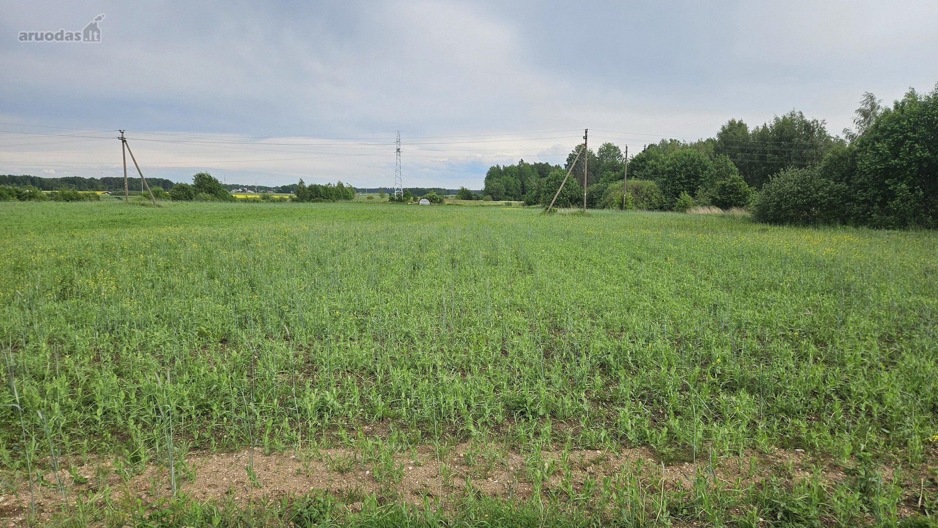 Parduodami du žemės sklypai, Šniponių k.,